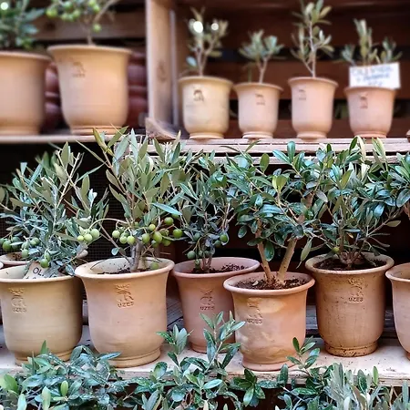 Les Cigales De Quentin La Poterie Ferienhaus Saint-Quentin-la-Poterie