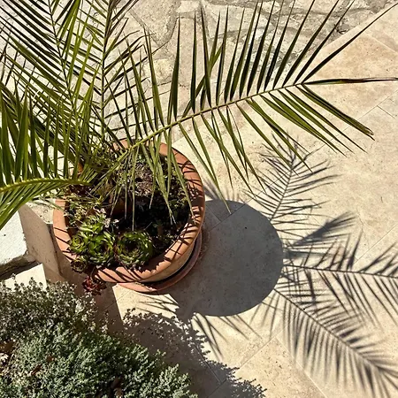 Les Cigales De Quentin La Poterie Holiday home *